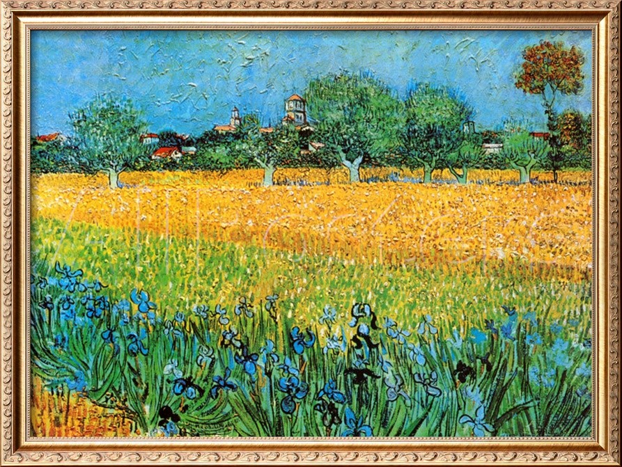 View of Arles with Irises - Vincent Van Gogh Paintings